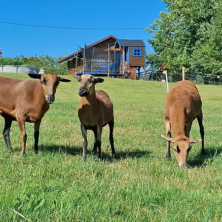 Barwald Hills - Jacuzzi I Piekny Widok Na Babia Gore I Beskidy Gasthuis